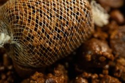 Sticky Baits Krill Pellets