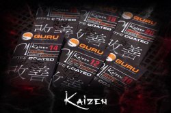 Guru Kaizen hooks