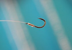 Drennan Carp 2 Pole Rig