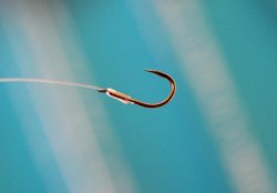 Drennan Carp 2 Pole Rig