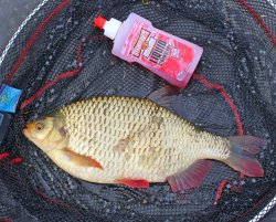 DYNAMITE XL Liquid Range