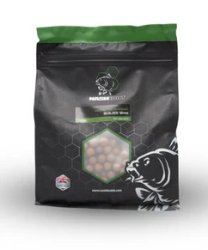 Nash Boilies