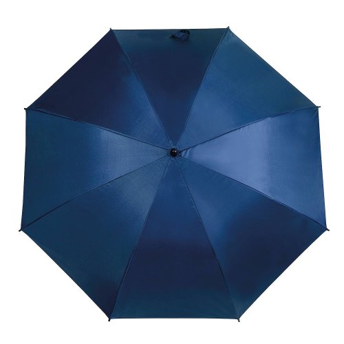 Fishing Umberella Blue 50