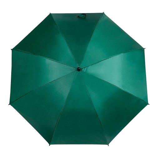 Fishing Umberella Green 45